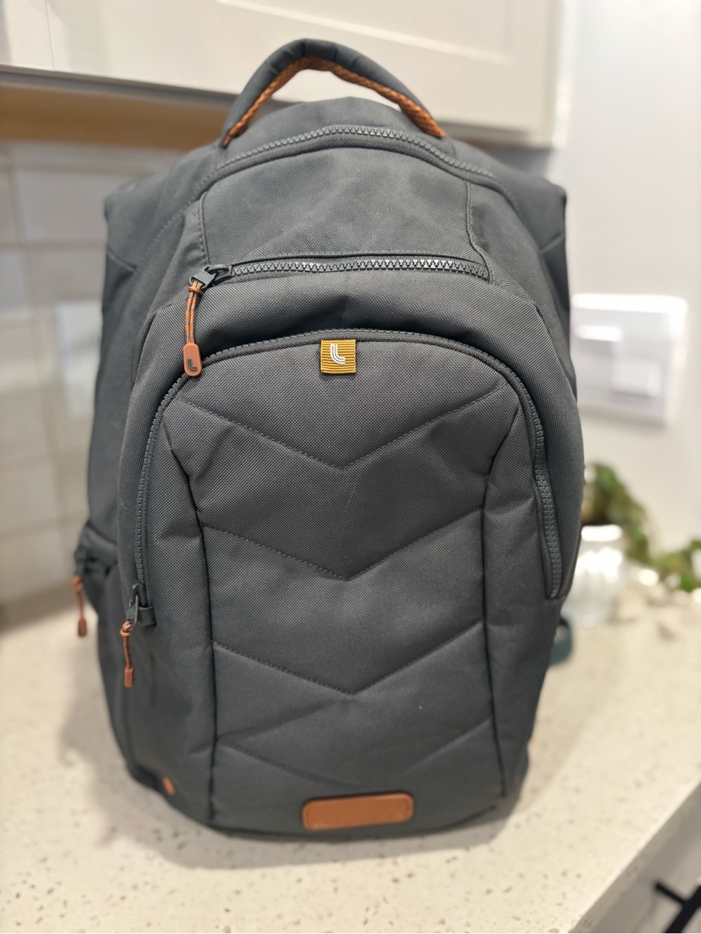 Lole Backpack - gently used
